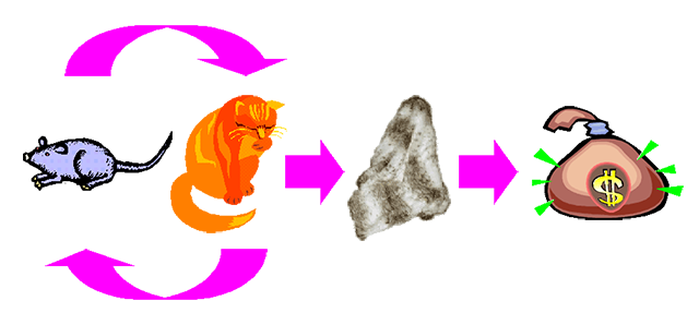The cats eat the rats, the rats eat the cats, and 
            we get the skins