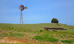 San Bromista Cat Ranch