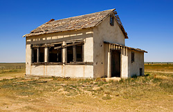 San Bromista Cat Ranch