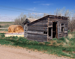 San Bromista Cat Ranch